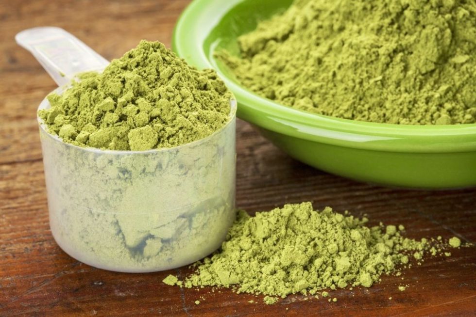 Protein Manufacturers Nutra Solutions Int.